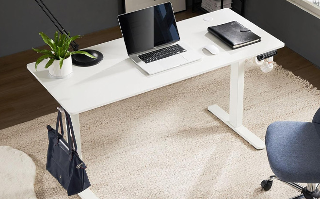 Sweetcrispy Electric Standing Desk in White Color