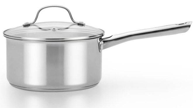 T fal Performa Stainless Steel 3 Quart Sauce Pan