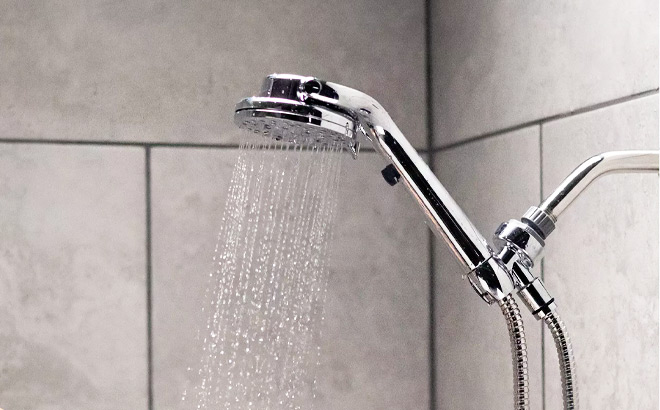 Waterpik ShowerCare Pivoting Shower Head