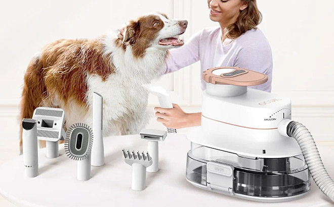 A Person Using Dog Grooming Vacuum Kit