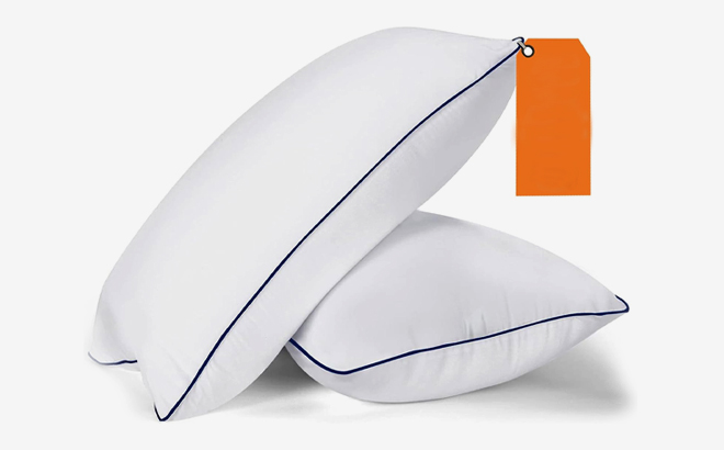 A photo showing MZOIMZO 2 pack Queen Pillows