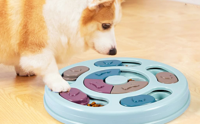 Dog Puzzle Feeder Toy