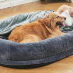 Faux Fur Fluffy Giant Human Dog Bed