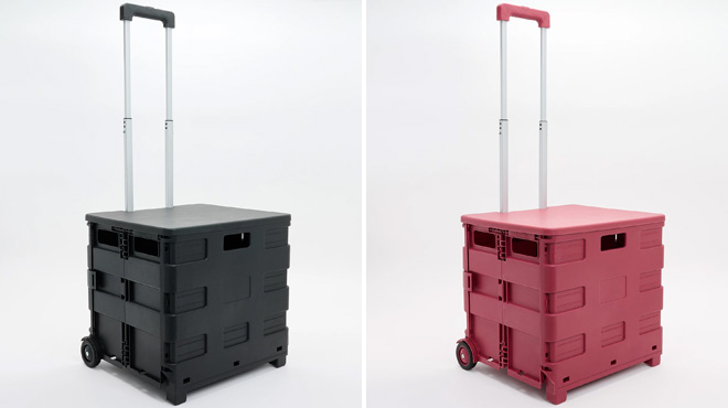 Foldable Trunk Carts