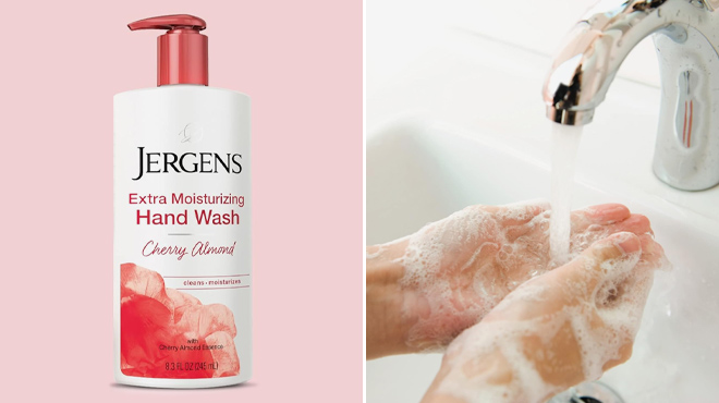 Jergens Extra Moisturizing Hand Wash