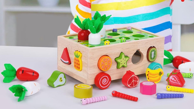 Montessori Wooden Fruits and Vegetables Shape Sorting Toy