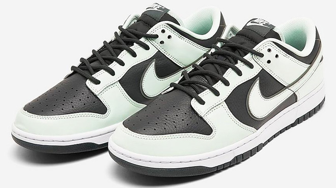 Nike Dunk Low Retro Premium Casual Shoes