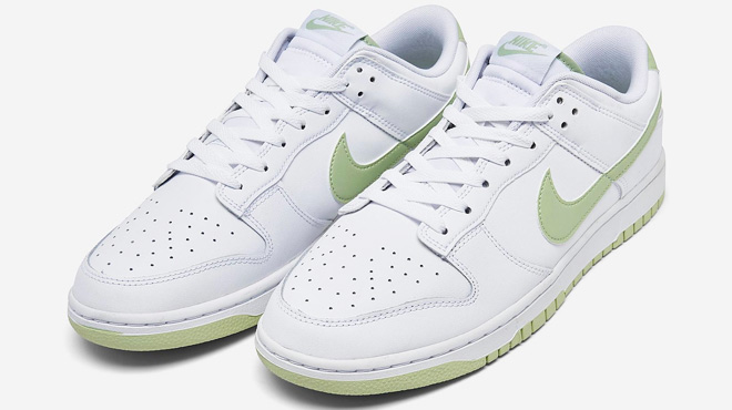 Nike Dunk Low Retro Shoes