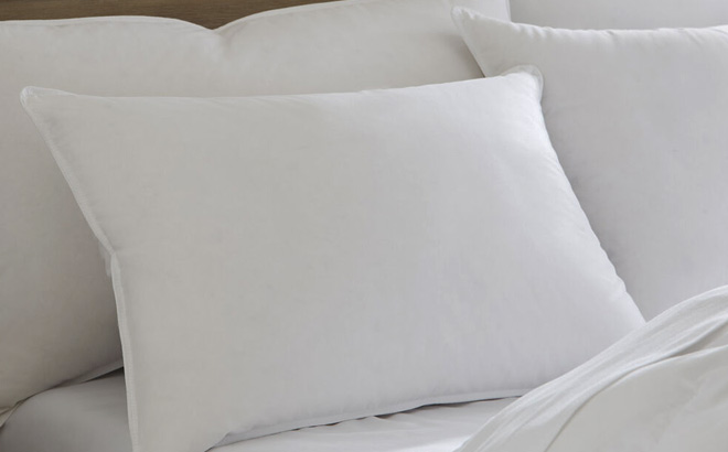 Pacific Coast Hotel Down Surround Pillows
