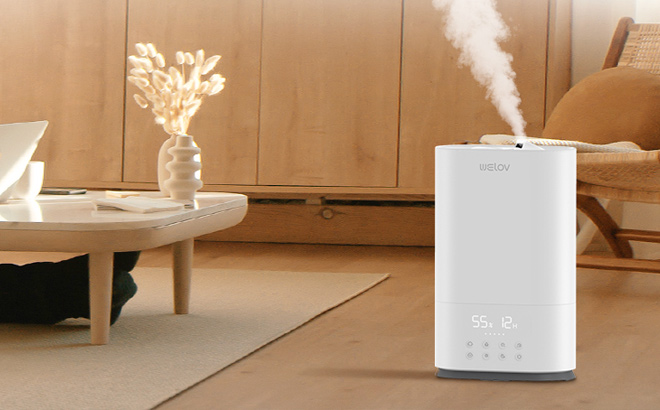 WELOV Cool Mist Humidifiers for Bedroom 6L BoostMist Room Humidifier for Large Areas