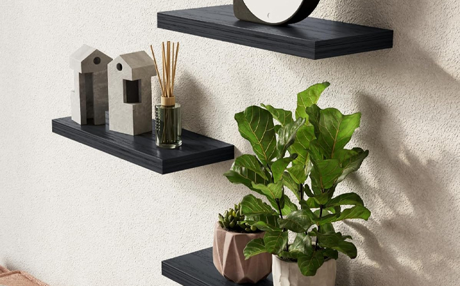 Wall Mounted Rustic Wood Shelves 3 Pack