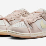 1 Nike Dunk Low Premium Womens Shoes