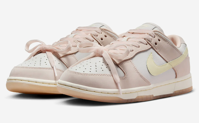 1 Nike Dunk Low Premium Womens Shoes