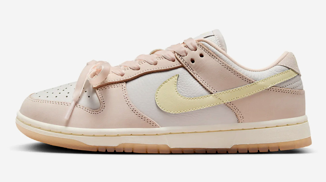 2 Nike Dunk Low Premium Womens Shoes