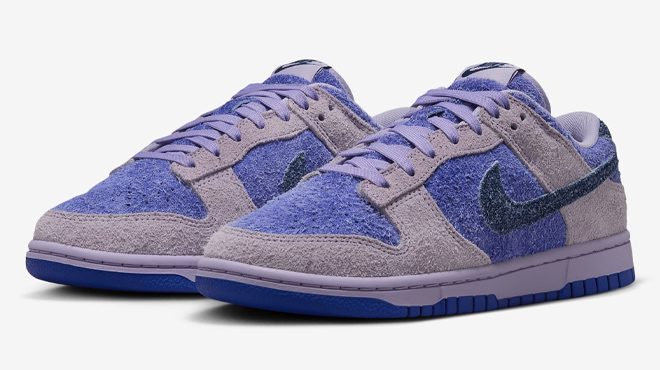 3 Nike Dunk Low SE Womens Shoes