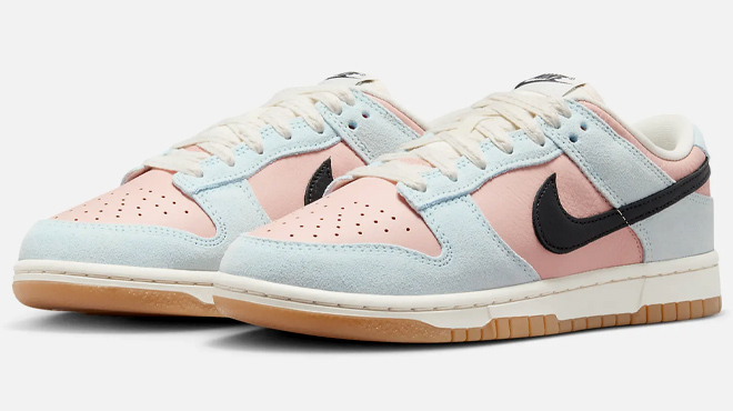 6 Nike Dunk Low Womens Shoes