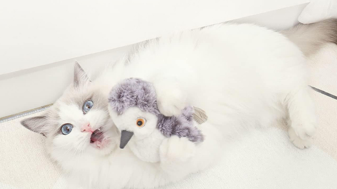 A Cat playing with Potaroma Flapping Bird Cat Toy