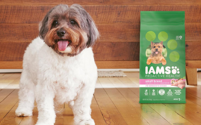 A Dog Beside Iams Dry Dog Food