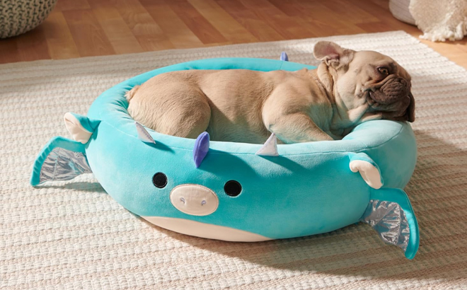 A Dog Laying on the Squishmallows 20 Inch Tatiana The Dragon Pet Bed