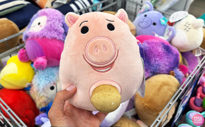 A Person Holding Disney Sidekick Squishmallows Hamm