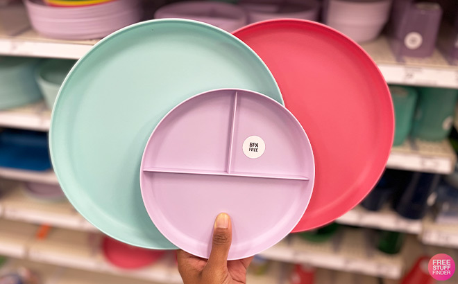 A Person Holding Pillowfort Plates