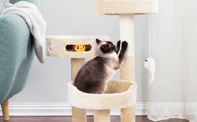 A cat Scratching the stem of the Petsmart 3 Tier 27 5 Cat Tree