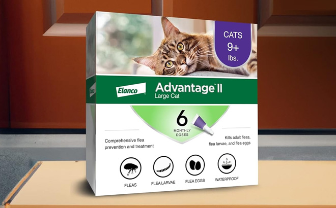 Advantage II Large Cat Vet Recommended Flea Treatment Prevention