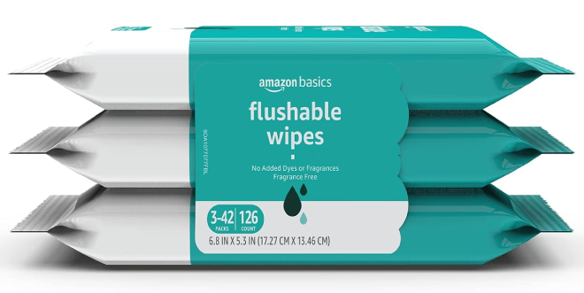 Amazon Basics 42 Count Flushable Adult Toilet Wipes