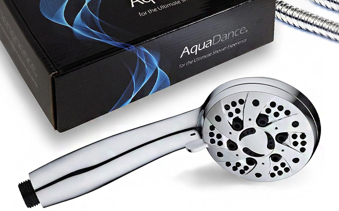 AquaDance High Pressure 6 Setting Handheld Shower