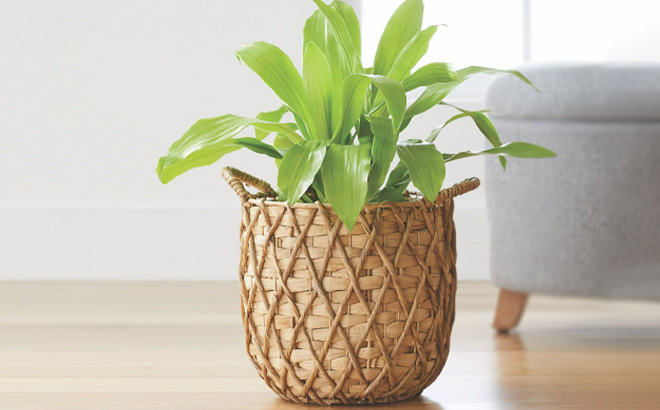 Better Homes Gardens Round Natural Water Hyacinth Basket Planter on the Floor