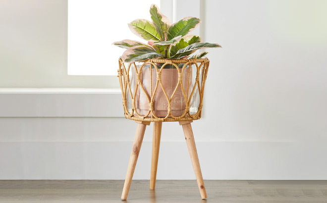 Better Homes and Gardens Dia Willow Sage Beige Planter