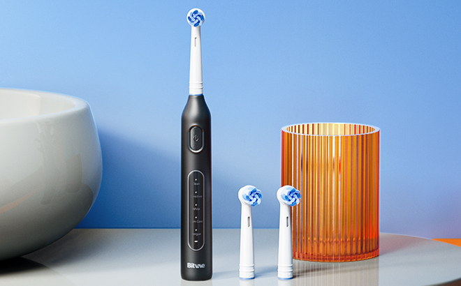 Bitvae R1 Rotating Electric Toothbrush Set