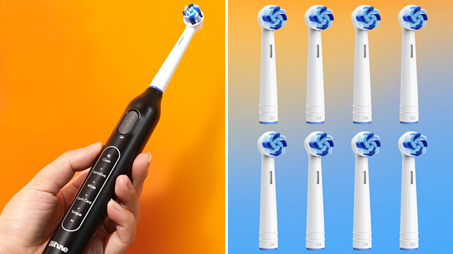 Bitvae R1 Rotating Electric Toothbrush with 8 Brush Heads