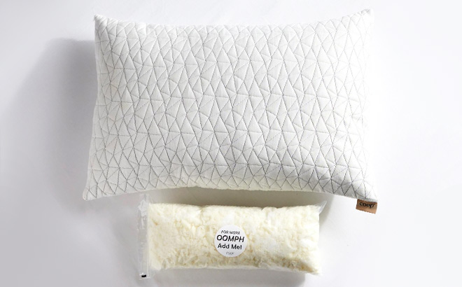 Coop Sleep Goods Queen Pillow and Coolside Cover