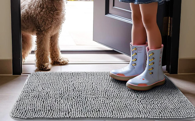 Dog Door Mat