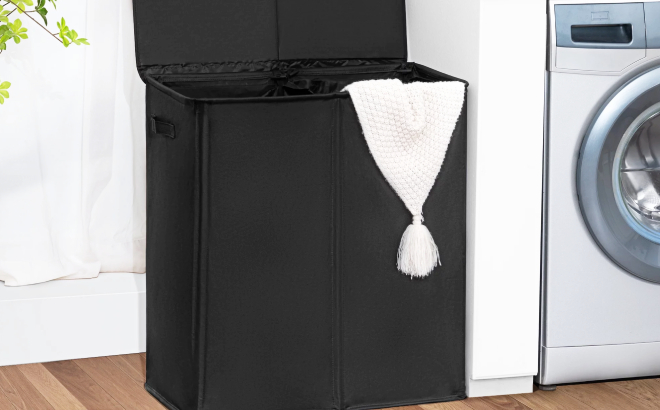 Double Laundry Hamper