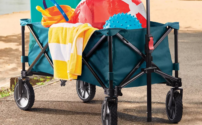 Embark Collapsible Wagon Filled with Beach Items