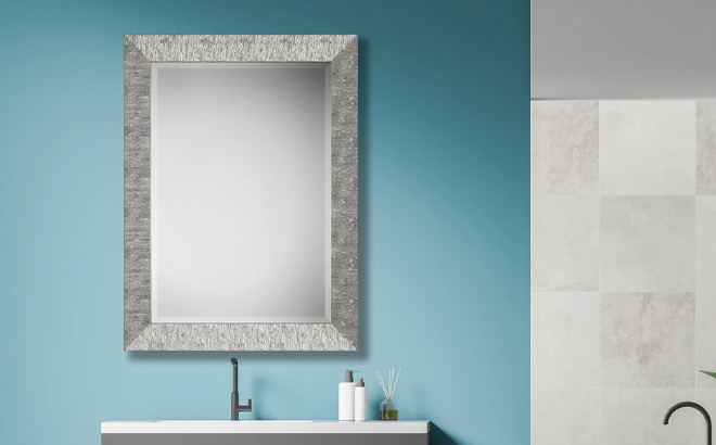 Etta Avenue Silver Rectangle Wall Mirror