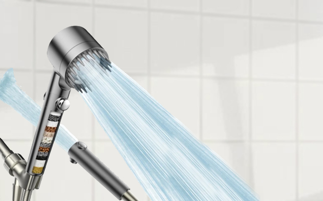 Filtered Shower Head with Handheld