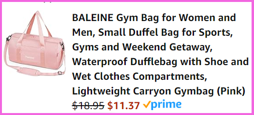 Final Price Breakdown for Baleine Gym Bag