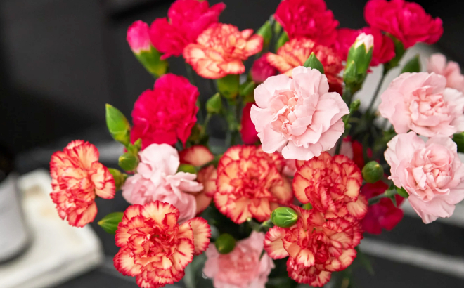 Fresh Cut Mini Carnations Flower Bunch