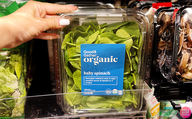 Good Gather Organic Baby Spinach