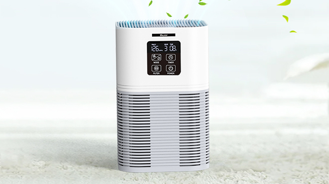 HEPA Air Purifier for Large Room