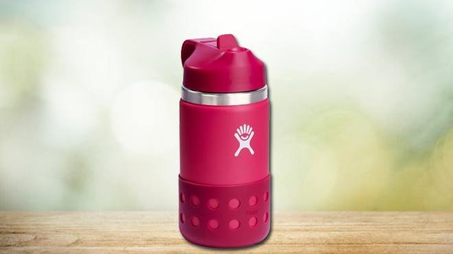 Hydro Flask Kids Wide Mouth with Straw Lid Water Bottle