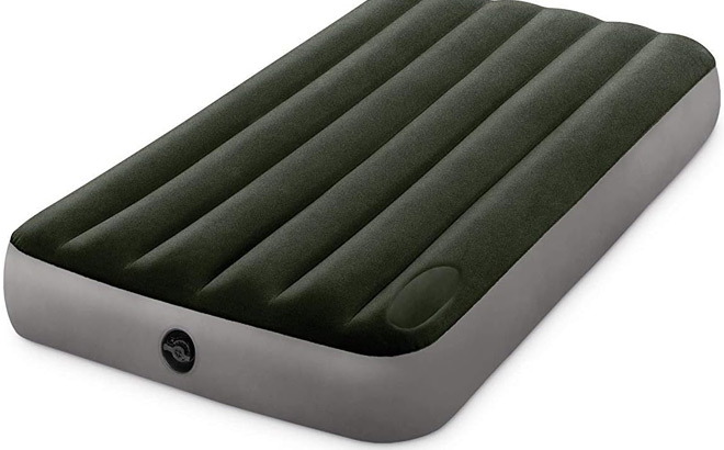 INTEX 64763E Dura Beam Standard Downy Air Mattress