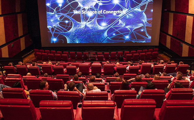 Inside a Movie Cinema Hall