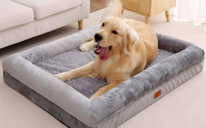Medium Dog Bed in Grey Color