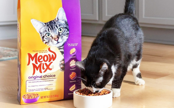 Meow Mix Original Choice Dry Cat Food