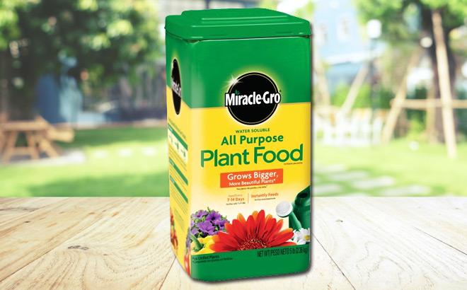 Miracle Gro All Purpose Plant Food