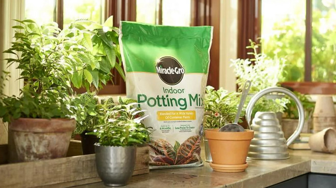 Miracle Gro Indoor Potting Mix 6 qt